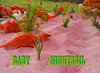 中国 ロック テクノ ダンスミュージック BABY NIGHTSOIL インターネットラジオ 音楽 無料 ラジオエーゲ海 インディーズ東京 アーティスト プロモーションサポート